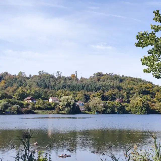 Incheville Etangs 07 M. Bosse Panelle