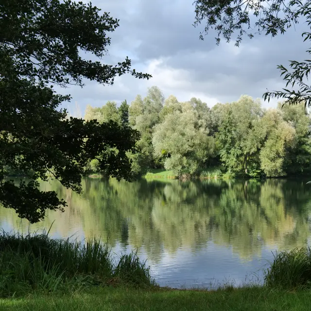 Ponts Et Marais Chemin Entre Verre Et Mer M. Bosse Panelle