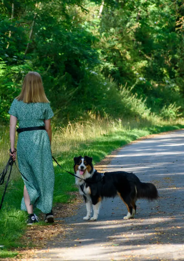 Chemin Vert Du Petit Caux Ccvs 2