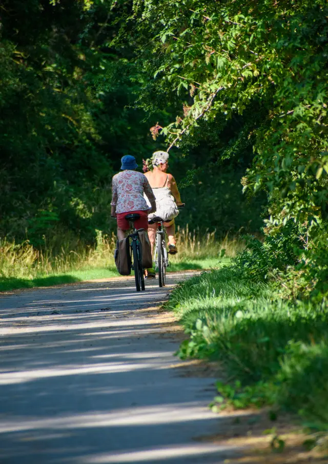 Chemin Vert Du Petit Caux Ccvs 3