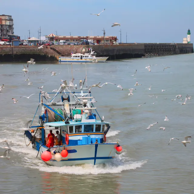 Retour de pêche au Tréport, Normandie, Seine-maritime