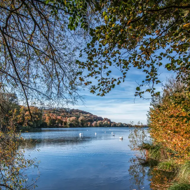 Incheville Etangs En Automne 01 Ulterior Portus Photos D. Feron