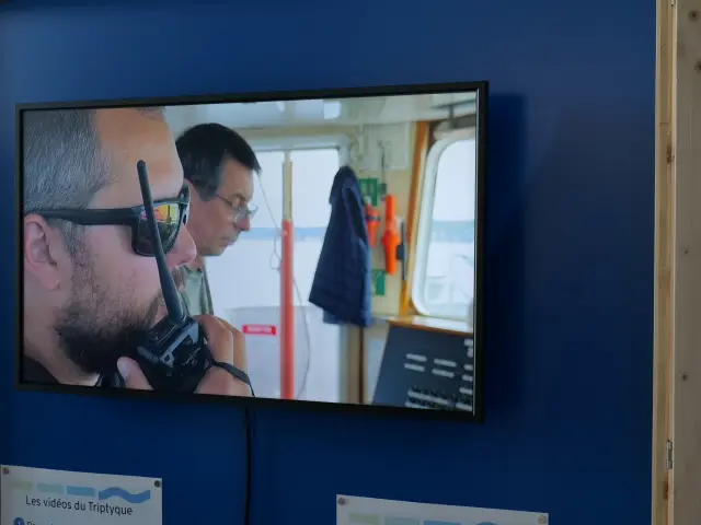 Le Treport Port Center 08 M. Bosse Panelle