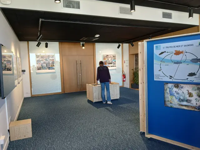 Le Treport Port Center Smpsm 5