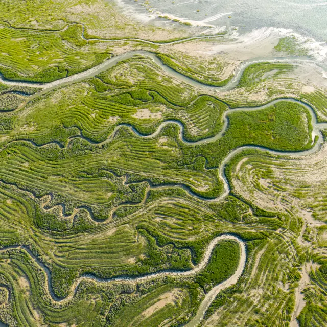 Baie De Somme Yann Mathias 19