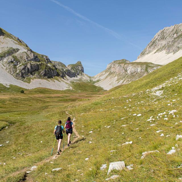 Ete_paysages_Vallon-des-Aiguilles-©OT-Le-Devoluy-13-08-2021-11.jpg
