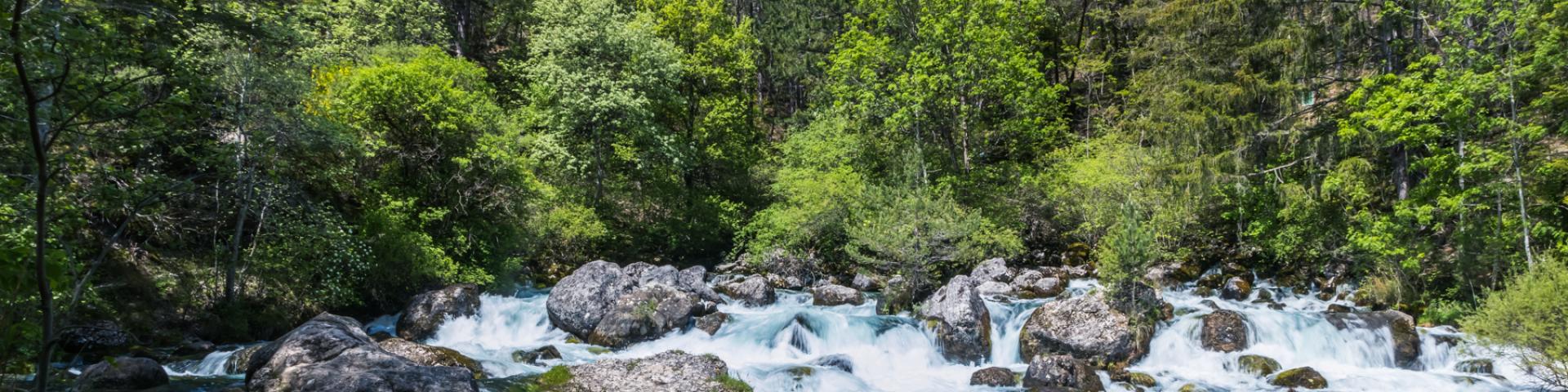 Les sources des Gillardes