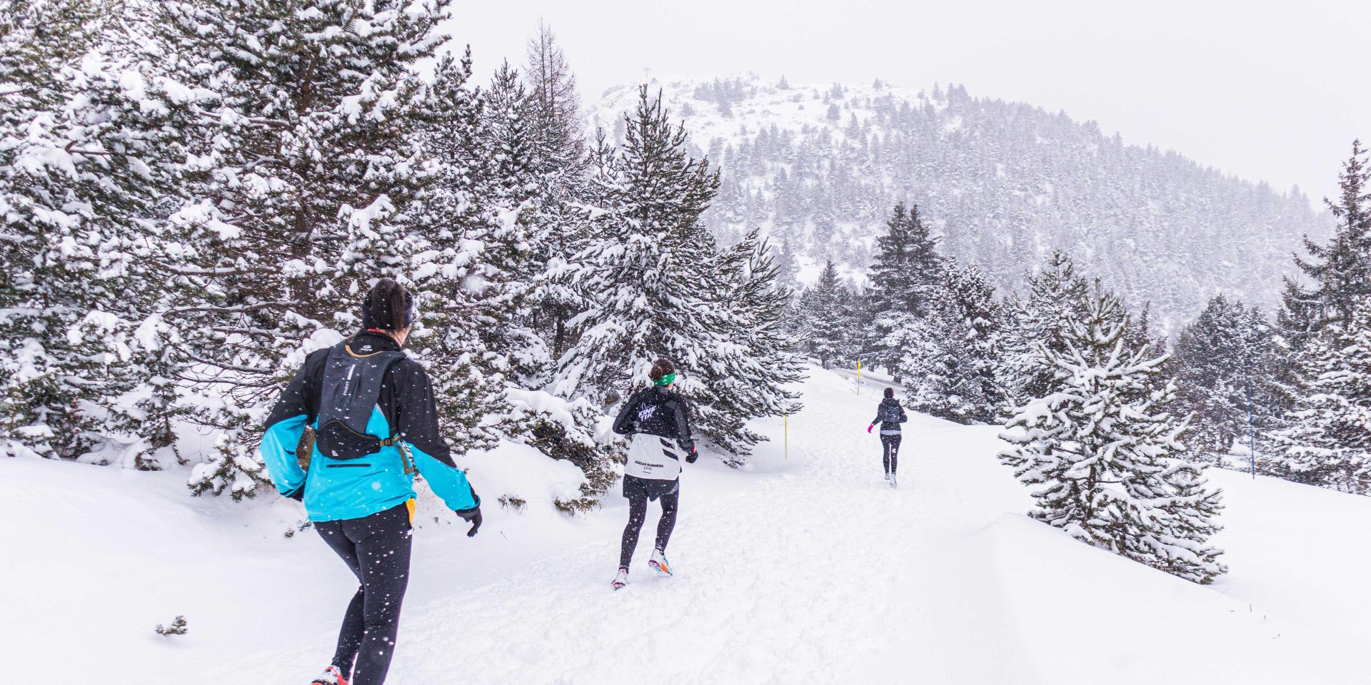 Evenements Hiver Devolice Trail 2022 Ot Le Devoluy