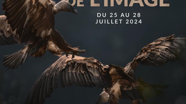 Affiche Festival De Limage 2024