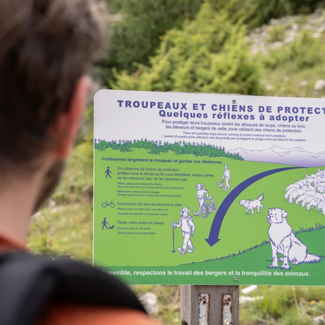 Tour de l'Obiou