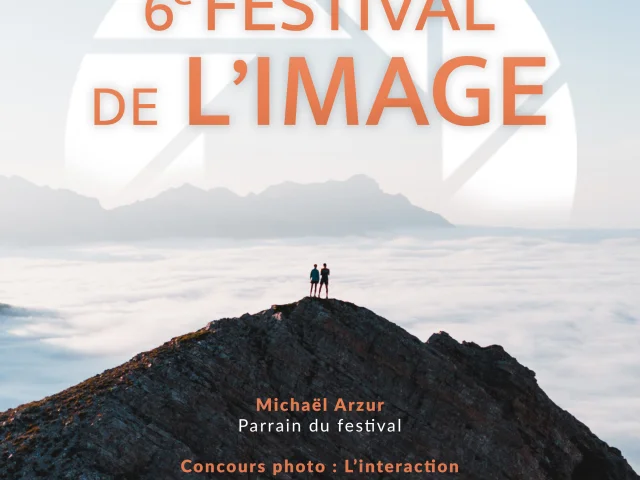 Affiche Festival De Limage 2025