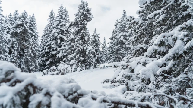 Evenements_Hiver_DevolIce-Trail-2024OT-Le-Devoluy-07-01-2024-7.jpg