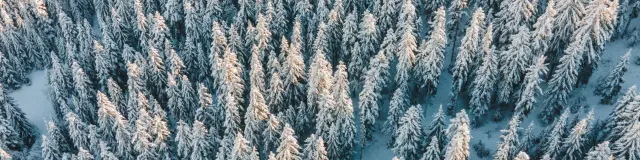 Winterlandschappen Firs Sneeuw Otdevoluy 05 12 22 Drone 8