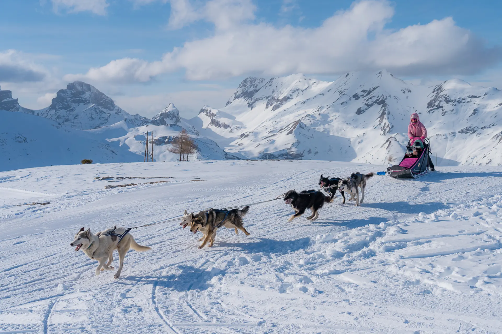 Een hondenspan dat een musher voorttrekt over een besneeuwd plateau met de bergen van Le Dévoluy op de achtergrond.
