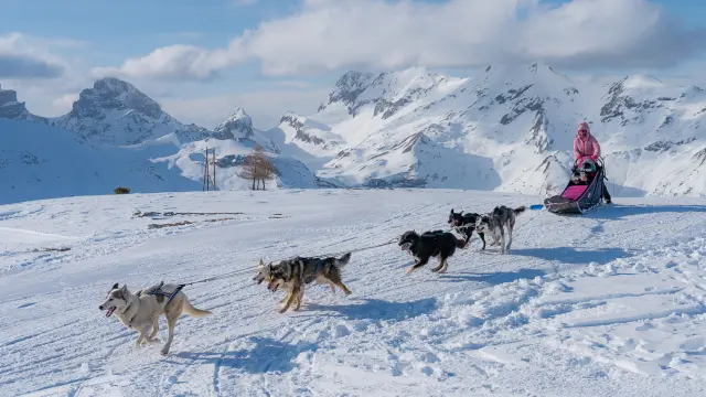 Een hondenspan dat een musher voorttrekt over een besneeuwd plateau met de bergen van Le Dévoluy op de achtergrond.