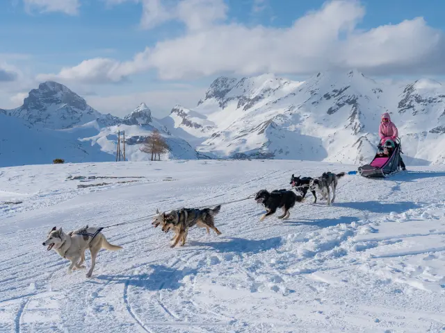 A team of sled dogs pulling a musher across a snowy plateau with the mountains of Le Dévoluy in the background.