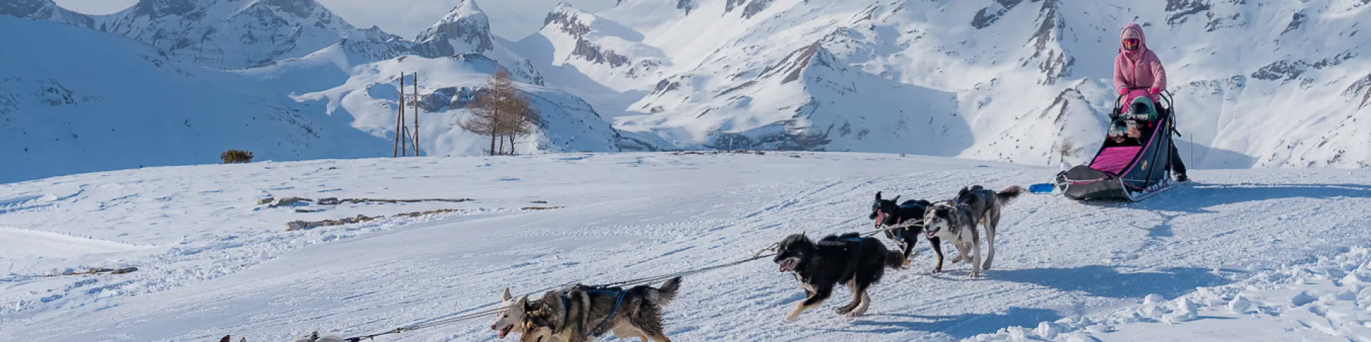 Attelage de chiens de traîneaux tirant un musher sur un plateau enneigé avec les montagnes du Dévoluy en arrière-plan.