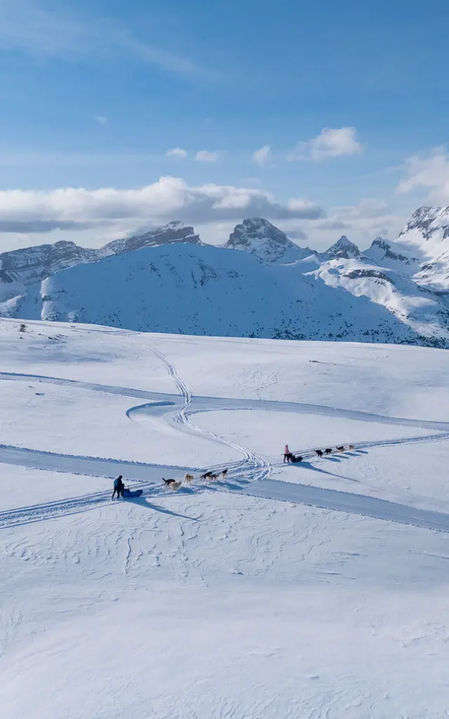 Twee hondenspannen die over een uitgestrekt besneeuwd plateau trekken met de toppen van Le Dévoluy op de achtergrond.