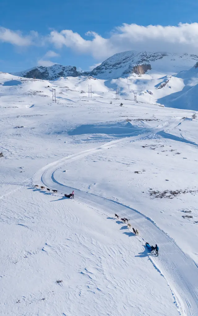 Een team sledehonden dat over een besneeuwd spoor door de bergen trekt.