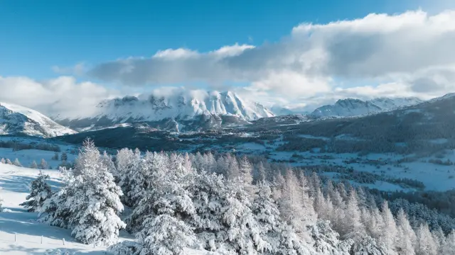 A snow-covered forest in the foreground with the Dévoluy mountains in the background under a winter sky, in the Hautes-Alpes.