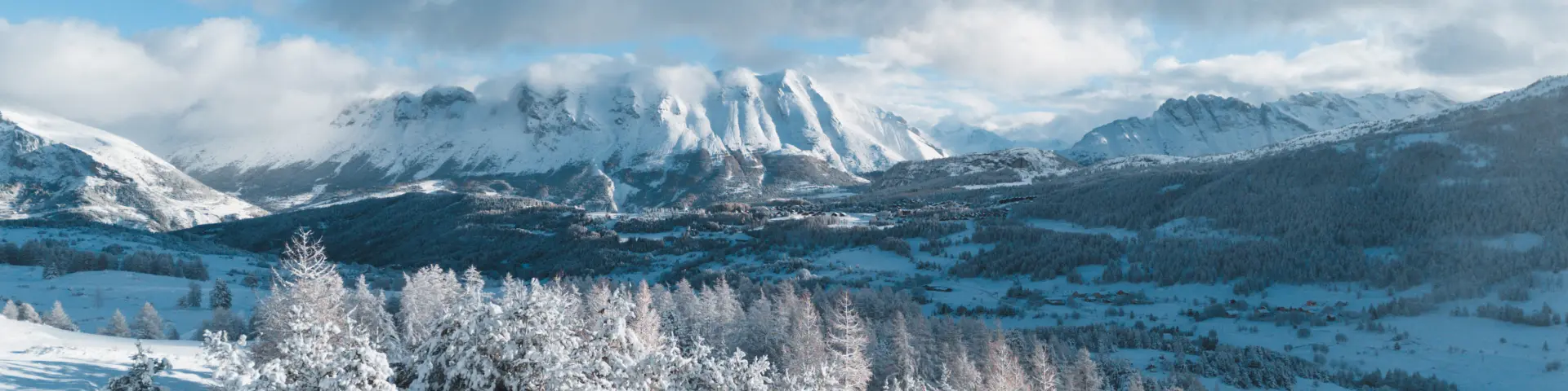 Een besneeuwd bos op de voorgrond met de bergen van de Dévoluy op de achtergrond onder een winterlucht, in de Hautes-Alpes.