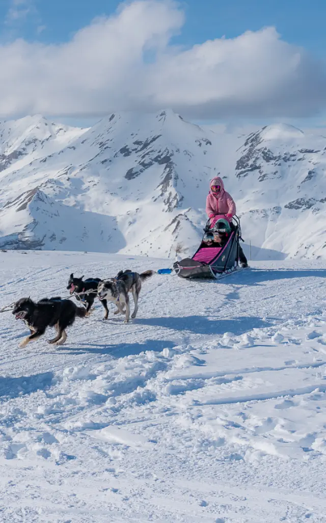 Een hondenspan dat een musher voorttrekt over een besneeuwd plateau met de bergen van Le Dévoluy op de achtergrond.