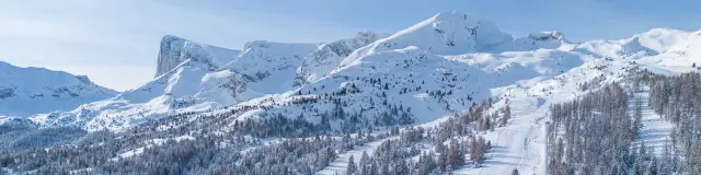 Vue aérienne de pistes de ski traversant une forêt enneigée avec de hauts sommets en arrière-plan.