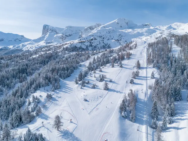 Luchtfoto van skipistes door een besneeuwd bos met hoge bergtoppen op de achtergrond.