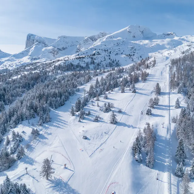 Aerial view of ski slopes running through a snowy forest with high mountain peaks in the background.