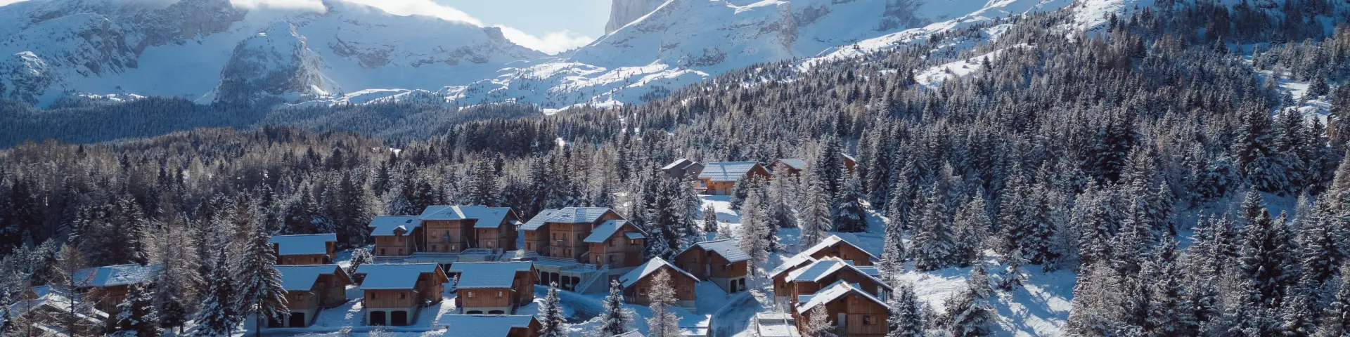 Vue aérienne de chalets en bois entourés de forêt enneigée avec un grand sommet montagneux en arrière-plan.