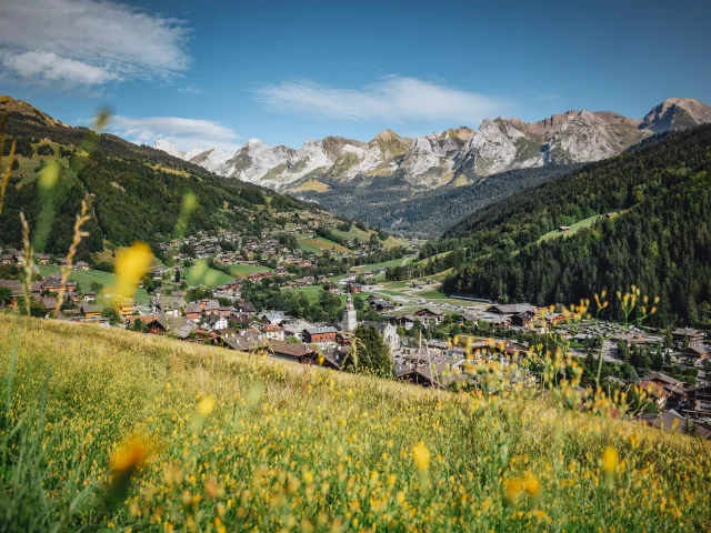 Blick auf das Dorf im Sommer in Le Grand-Bornand mit verschwommenen gelben Blumen im Vordergrund. Schöner Blick auf die Aravis-Kette inmitten grüner Natur.