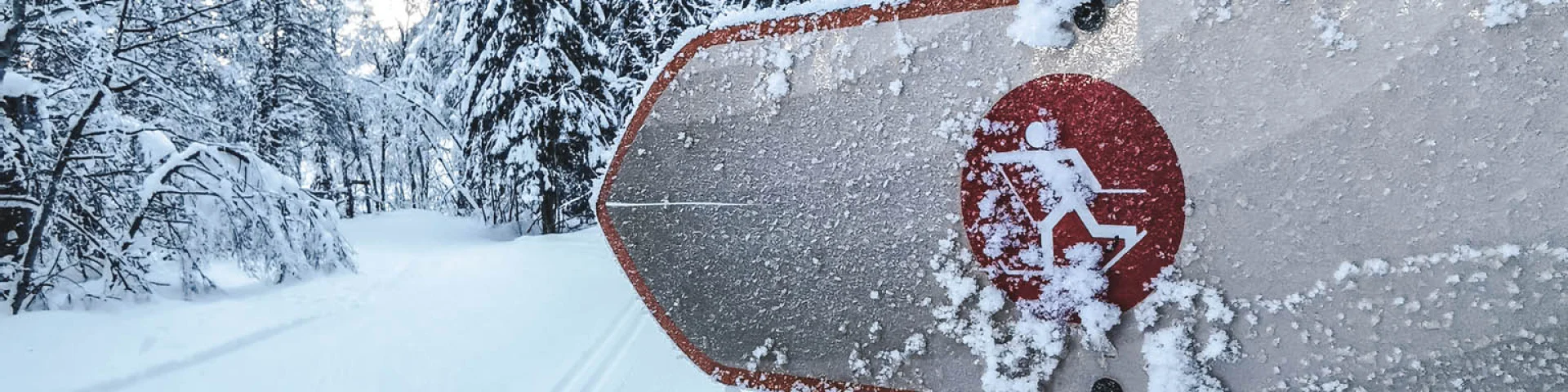 deux panneaux d'indications de pistes de ski nordique dans un paysage de forêt enneigé avec du givre dessus