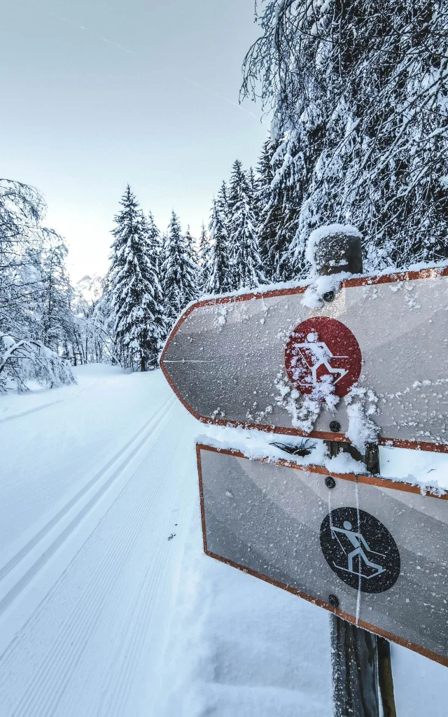 two Nordic ski trail signs in a snowy forest landscape with frost on them