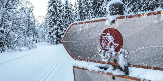deux panneaux d'indications de pistes de ski nordique dans un paysage de forêt enneigé avec du givre dessus