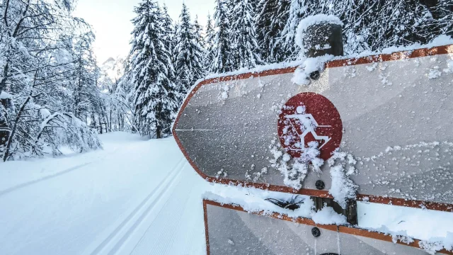deux panneaux d'indications de pistes de ski nordique dans un paysage de forêt enneigé avec du givre dessus