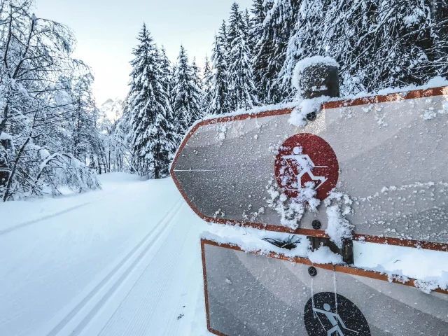 two Nordic ski trail signs in a snowy forest landscape with frost on them