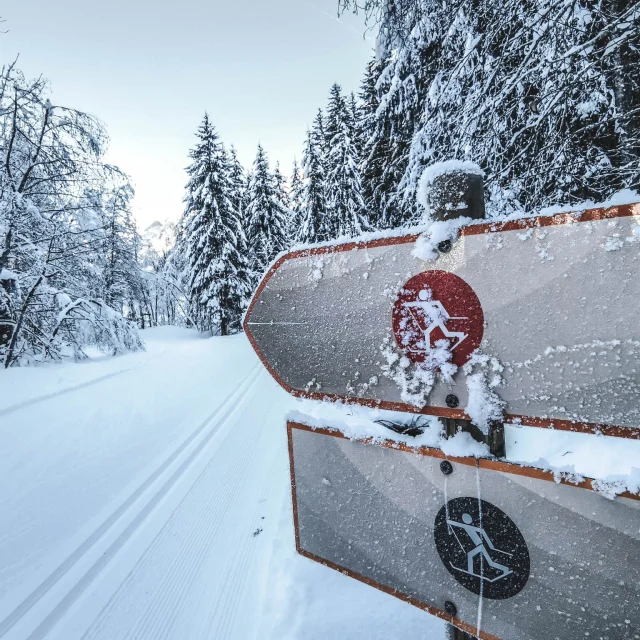deux panneaux d'indications de pistes de ski nordique dans un paysage de forêt enneigé avec du givre dessus