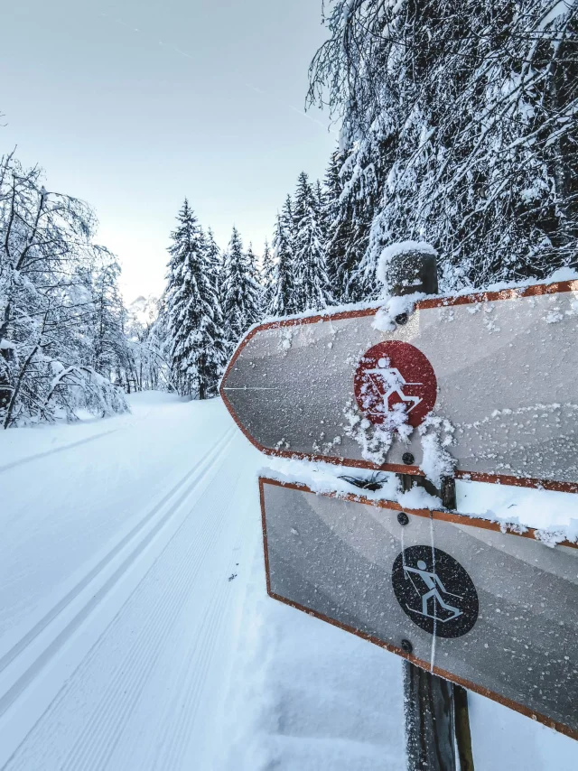 deux panneaux d'indications de pistes de ski nordique dans un paysage de forêt enneigé avec du givre dessus