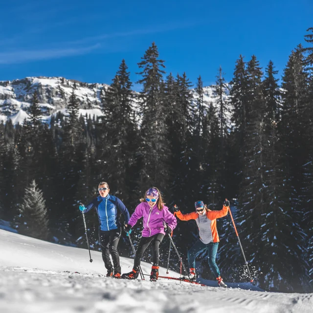 Trois skieurs en tenue colorée pratiquant le ski de fond sur un sentier enneigé, entourés de sapins et de montagnes sous un ciel bleu.