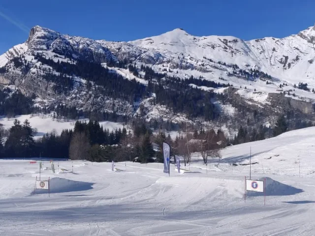 Vue panoramique d'un domaine skiable alpin avec des pistes enneigées, des fanions et des montagnes en arrière-plan sous un ciel bleu dégagé.