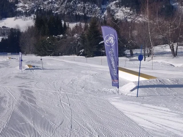 Vue d’un snowpark en montagne avec des modules bleus pour skieurs ou snowboardeurs intermédiaires, sous un ciel ensoleillé entouré d’arbres et de reliefs enneigés.