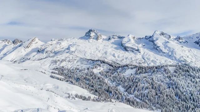 Pointe Percee M.dubost Ot Lgb
