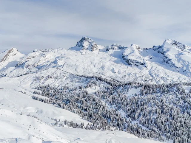 Pointe Percee M.dubost Ot Lgb