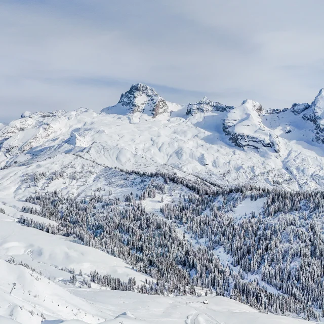 Pointe Percee M.dubost Ot Lgb
