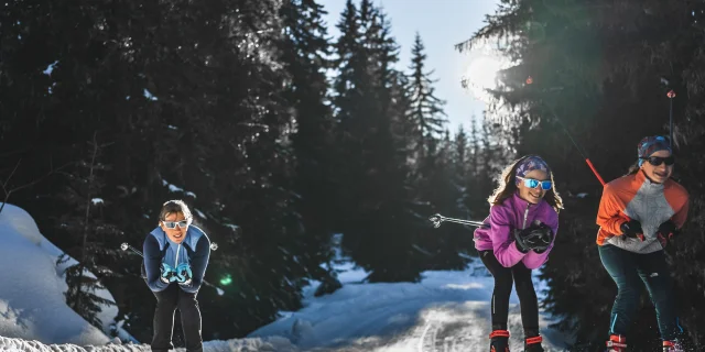 Three smiling, well-equipped cross-country skiers glide down a snow-covered track through a fir forest in the winter sunshine.