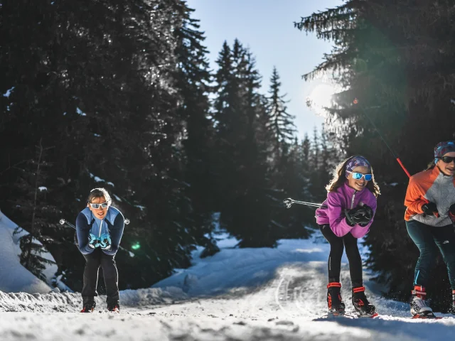 Three smiling, well-equipped cross-country skiers glide down a snow-covered track through a fir forest in the winter sunshine.