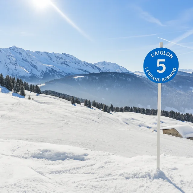 Panneau bleu indiquant la piste L'Aiglon numéro 5 à la station de ski Le Grand Bornand, avec un paysage enneigé et des montagnes en arrière-plan.
