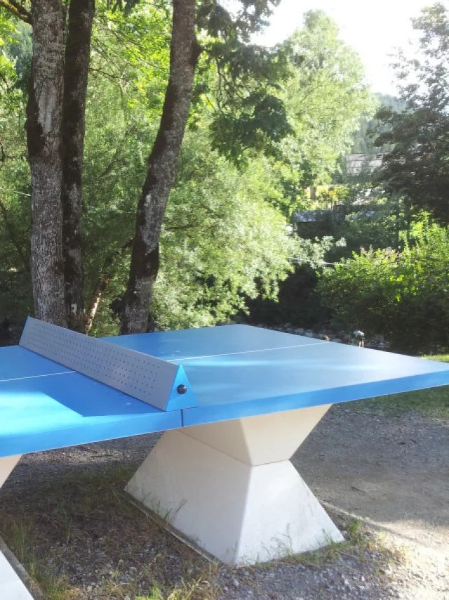 800x600 3440565 Table De Ping Pong 2