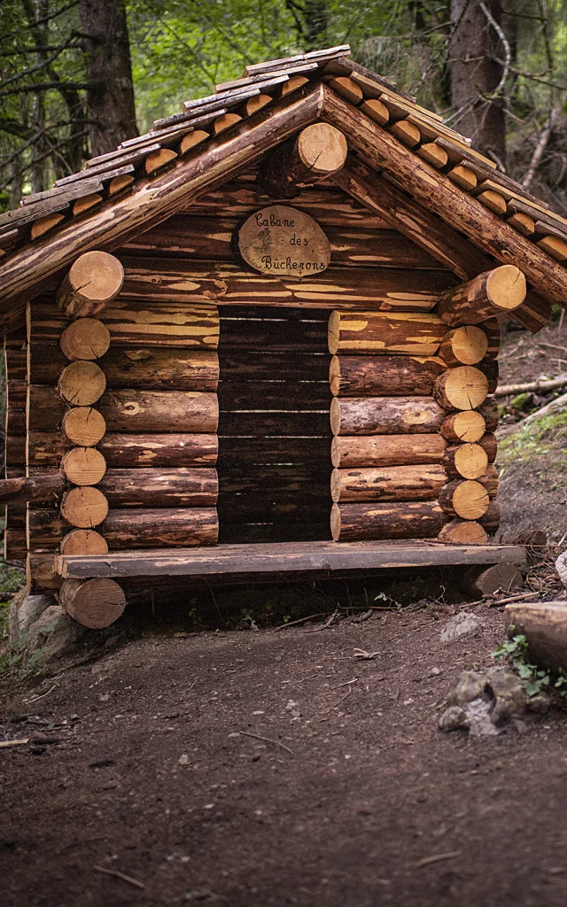 E20 Foret .vattard Le Grand Bornand Tourisme 029