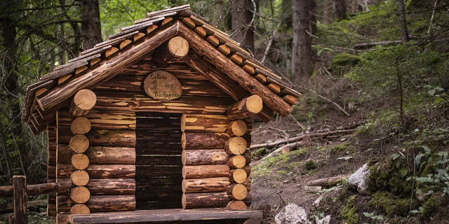 E20 Foret .vattard Le Grand Bornand Tourisme 029